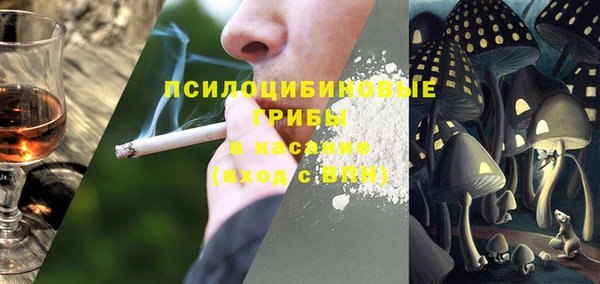 ГАЛЛЮЦИНОГЕННЫЕ ГРИБЫ Абинск