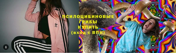 ГАЛЛЮЦИНОГЕННЫЕ ГРИБЫ Абинск