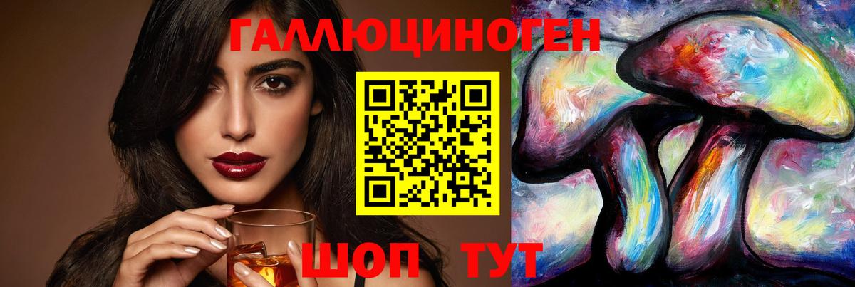 Псилоцибиновые грибы Cubensis Хасавюрт