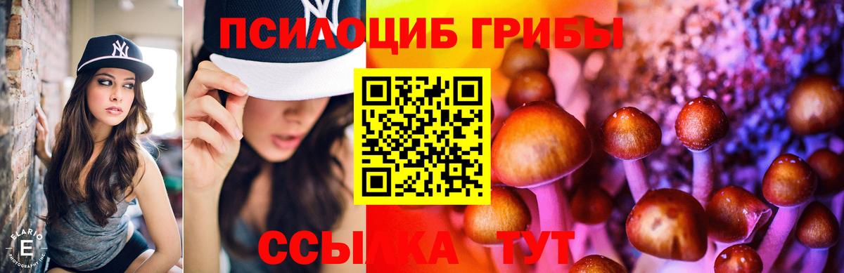 Хасавюрт  Галлюциногенные грибы мицелий  Псилоцибиновые грибы Cubensis  Вход с VPN 